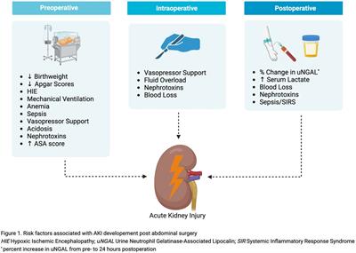 Acute kidney injury post-abdominal surgery in infants: implications for prevention and management